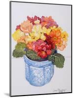 The Multicoloured Primrose 2011-Joan Thewsey-Mounted Giclee Print