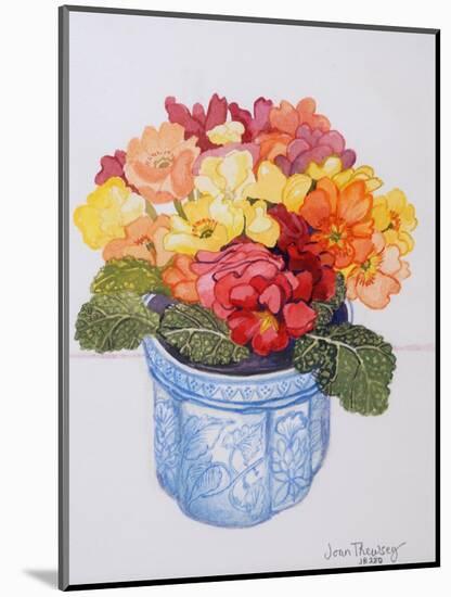 The Multicoloured Primrose 2011-Joan Thewsey-Mounted Giclee Print