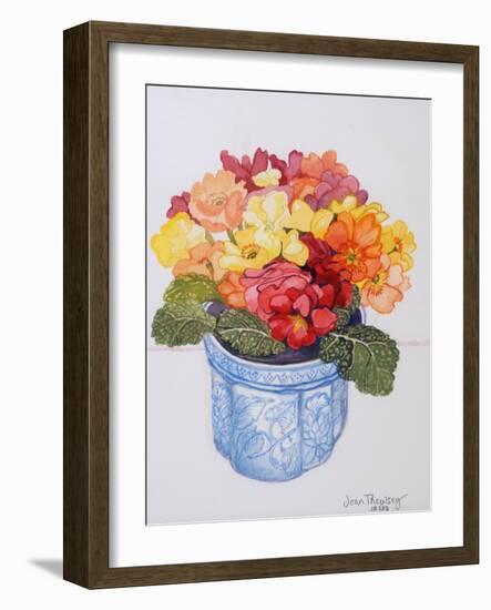 The Multicoloured Primrose 2011-Joan Thewsey-Framed Giclee Print