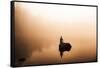 The Mummel Lake Mermaid-Philippe Saint-Laudy-Framed Stretched Canvas