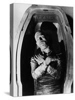 The Mummy, 1932-null-Stretched Canvas