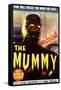 The Mummy, 1959-null-Framed Stretched Canvas