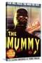 The Mummy, 1959-null-Stretched Canvas