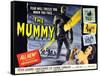 The Mummy, Christopher Lee, Yvonne Furneaux, 1959-null-Framed Stretched Canvas