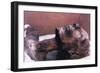 The Mummy of Rameses II, Egypt, 1213 Bc-null-Framed Photographic Print