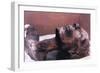 The Mummy of Rameses II, Egypt, 1213 Bc-null-Framed Photographic Print