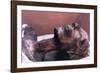 The Mummy of Rameses II, Egypt, 1213 Bc-null-Framed Photographic Print