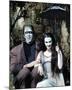 The Munsters-null-Mounted Photo