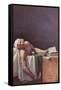 The Murdered Marat-Jacques-Louis David-Framed Stretched Canvas