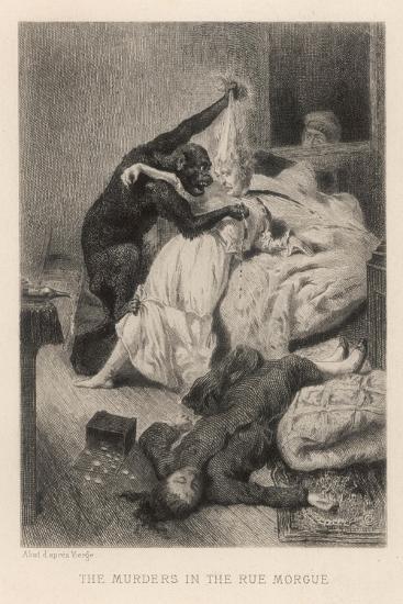 Art Print, , large