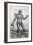 The Muscular System-null-Framed Giclee Print