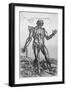 The Muscular System-null-Framed Giclee Print
