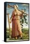 The Muse Polyhymnia, Inventor of Agriculture-Ferraresischer Meister-Framed Stretched Canvas