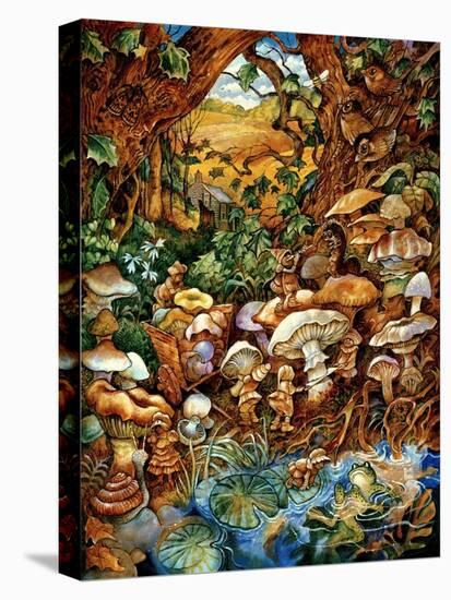 The Mushroom Fairies-Bill Bell-Stretched Canvas