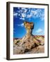 The Mushroom Rock Formation, Ischigualasto Provincial Park, UNESCO World Heritage Site, San Juan Pr-Karol Kozlowski-Framed Photographic Print