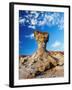 The Mushroom Rock Formation, Ischigualasto Provincial Park, UNESCO World Heritage Site, San Juan Pr-Karol Kozlowski-Framed Photographic Print