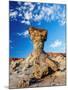 The Mushroom Rock Formation, Ischigualasto Provincial Park, UNESCO World Heritage Site, San Juan Pr-Karol Kozlowski-Mounted Photographic Print