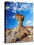 The Mushroom Rock Formation, Ischigualasto Provincial Park, UNESCO World Heritage Site, San Juan Pr-Karol Kozlowski-Stretched Canvas