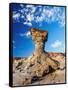 The Mushroom Rock Formation, Ischigualasto Provincial Park, UNESCO World Heritage Site, San Juan Pr-Karol Kozlowski-Framed Stretched Canvas