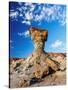 The Mushroom Rock Formation, Ischigualasto Provincial Park, UNESCO World Heritage Site, San Juan Pr-Karol Kozlowski-Stretched Canvas