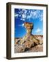 The Mushroom Rock Formation, Ischigualasto Provincial Park, UNESCO World Heritage Site, San Juan Pr-Karol Kozlowski-Framed Photographic Print