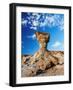 The Mushroom Rock Formation, Ischigualasto Provincial Park, UNESCO World Heritage Site, San Juan Pr-Karol Kozlowski-Framed Photographic Print
