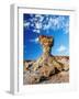 The Mushroom Rock Formation, Ischigualasto Provincial Park, UNESCO World Heritage Site, San Juan Pr-Karol Kozlowski-Framed Photographic Print