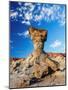 The Mushroom Rock Formation, Ischigualasto Provincial Park, UNESCO World Heritage Site, San Juan Pr-Karol Kozlowski-Mounted Photographic Print