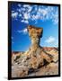 The Mushroom Rock Formation, Ischigualasto Provincial Park, UNESCO World Heritage Site, San Juan Pr-Karol Kozlowski-Framed Photographic Print