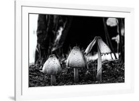 The Mushrooms-Henriette Lund Mackey-Framed Photographic Print