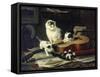 The Musical Cats-Henriette Ronner-Knip-Framed Stretched Canvas