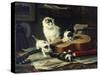 The Musical Cats-Henriette Ronner-Knip-Stretched Canvas