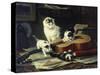 The Musical Cats-Henriette Ronner-Knip-Stretched Canvas