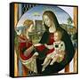 The Mystic Marriage of St. Catherine, 1502-03-Baldassarre Peruzzi-Framed Stretched Canvas