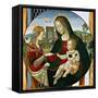 The Mystic Marriage of St. Catherine, 1502-03-Baldassarre Peruzzi-Framed Stretched Canvas