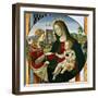 The Mystic Marriage of St. Catherine, 1502-03-Baldassarre Peruzzi-Framed Giclee Print