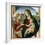 The Mystic Marriage of St. Catherine, 1502-03-Baldassarre Peruzzi-Framed Giclee Print