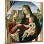 The Mystic Marriage of St. Catherine, 1502-03-Baldassarre Peruzzi-Mounted Giclee Print