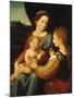 The Mystic Marriage of St Catherine of Alexandria-Giuliano Bugiardini-Mounted Giclee Print