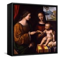The Mystical Marriage of Saint Catherine, C. 1520-Bernardino Luini-Framed Stretched Canvas