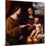 The Mystical Marriage of Saint Catherine, C. 1520-Bernardino Luini-Mounted Giclee Print