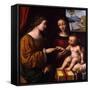 The Mystical Marriage of Saint Catherine, C. 1520-Bernardino Luini-Framed Stretched Canvas