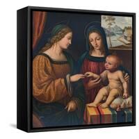 The Mystical Marriage of Saint Catherine, c1520, (1911)-Bernardino Luini-Framed Stretched Canvas