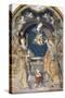 The Mystical Marriage of Saint Catherine-Bernardino Di Mariotto Dello Stagnio-Stretched Canvas