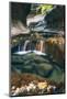 The Mystical Subway, Autumn Zion National Park, Natural Wonder, Southern Utah-Vincent James-Mounted Photographic Print