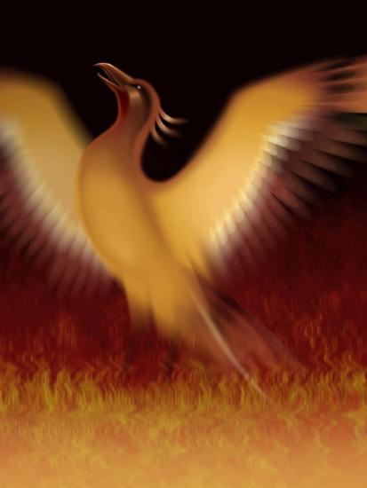 The Mythical Phoenix Rising From Ashes Photographic Print Allposters Com The Mythical Phoenix Rising From Ashes Photographic Print Allposters Com