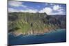 The Na Pali Coast State Park from a Helicopter in Kauai, Hawaii-Erik Kruthoff-Mounted Photographic Print