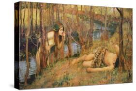 The Naiad, 1893 (Hylas with a Nymph)-John William Waterhouse-Stretched Canvas