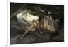 The Naiads, 1881-Gioacchino Pagliei-Framed Giclee Print