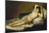 The Naked Maja, 1798-1803-Francisco de Goya-Mounted Giclee Print